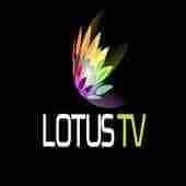 LOTUS TV Download for free