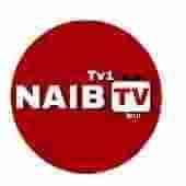 NAIB TV