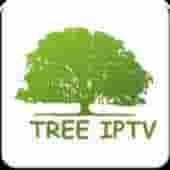 TREE TV Download for free