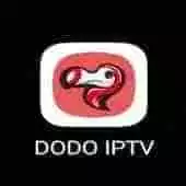 DODO IPTV