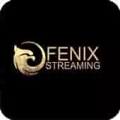 FENIX Streaming