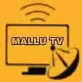 MalluTV