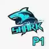 P1 Shark