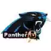 Panther TV Pro CODE