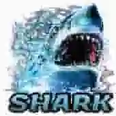 Shark TV CODE