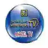 WACEL TV PRO