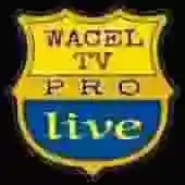 Wacel TV